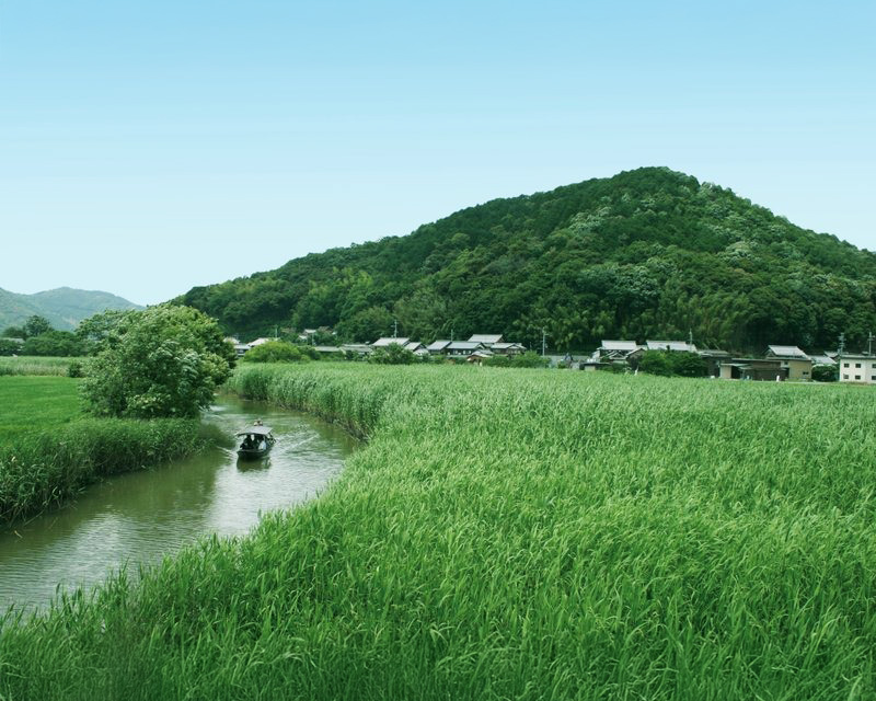 近江八幡水郷めぐり
