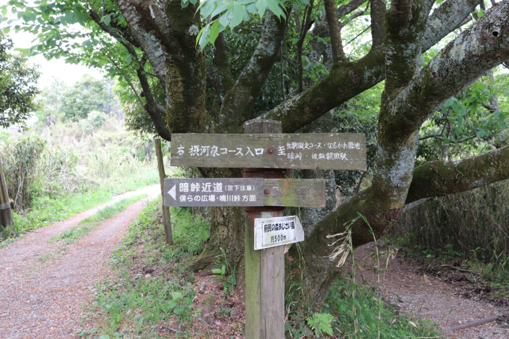 ぬかた園地ハイキングコースの写真