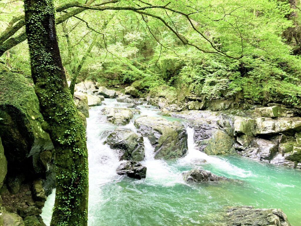 摂津峡の写真