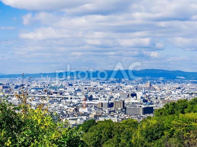 ぬかた園地ハイキングコースの展望台からの写真