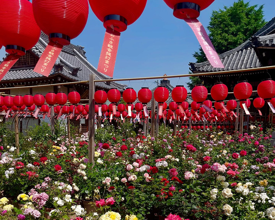 奈良でおすすめのスポット:おふさ観音(おふさかんのん)