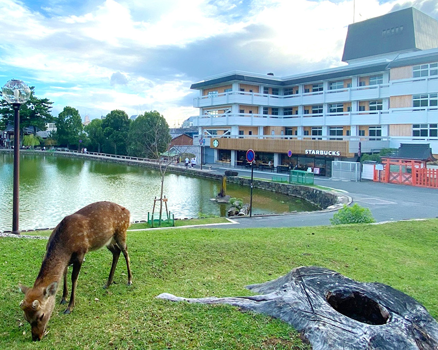 奈良で大人女子旅・一人旅におすすめの宿:ホテル天平ならまち