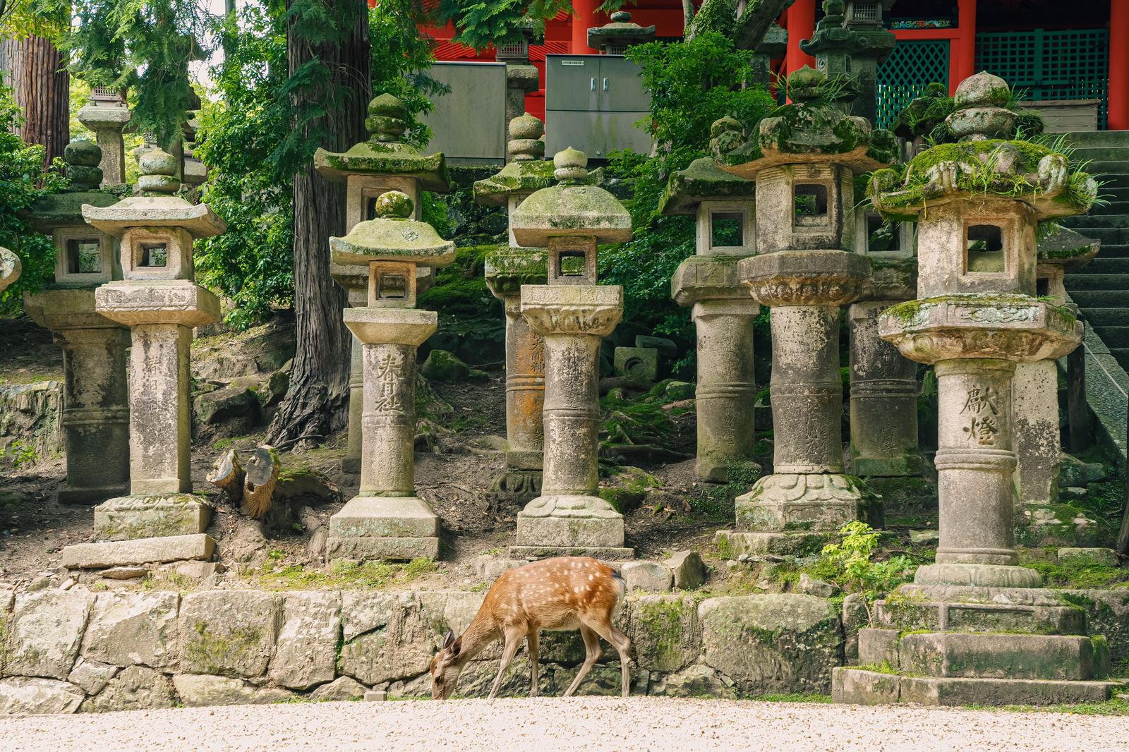 春日大社