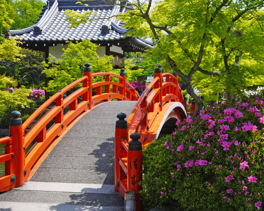 二条城近くの観光地 ①｜神泉苑