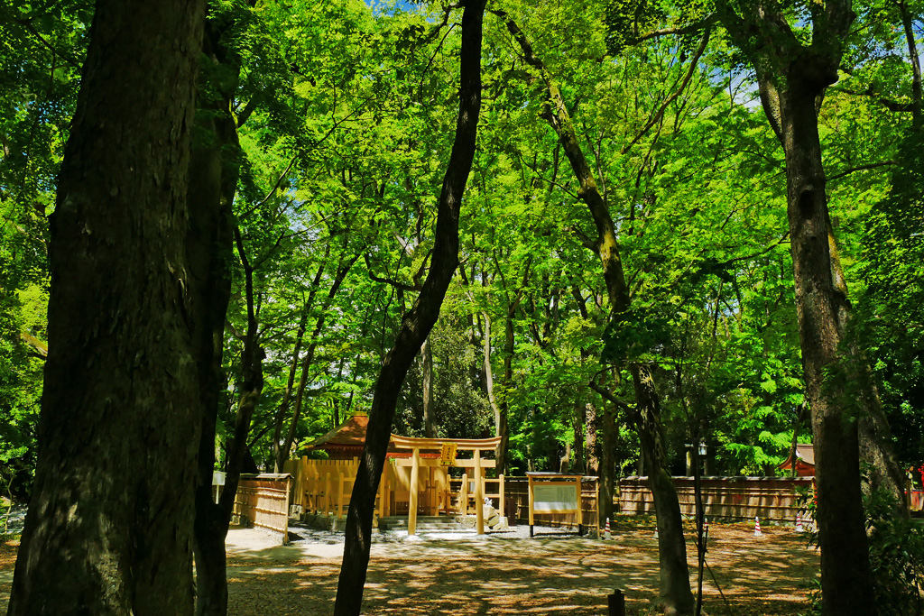 下鴨神社