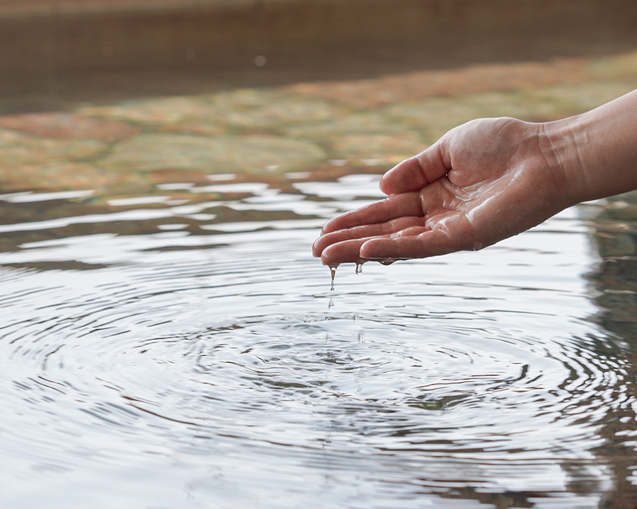 奥白浜椿温泉 湯治のできる宿 しらさぎ（和歌山・白浜）