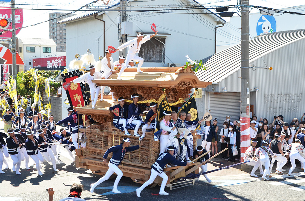 岸和田だんじり祭