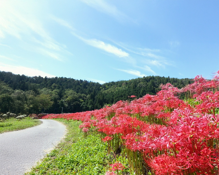 徳山町(長浜市)