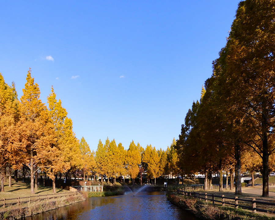 寝屋川打上川治水緑地
