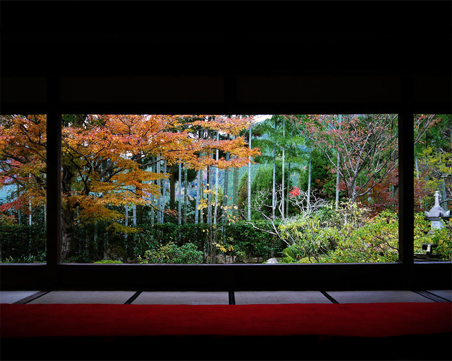 宝泉院（ほうせんいん）