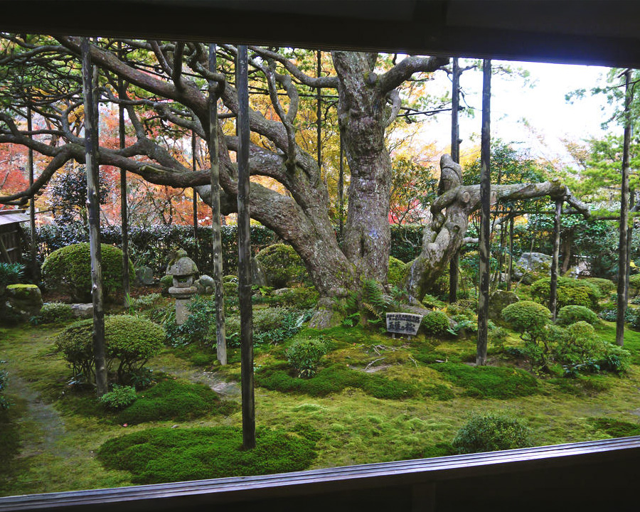 宝泉院（ほうせんいん）