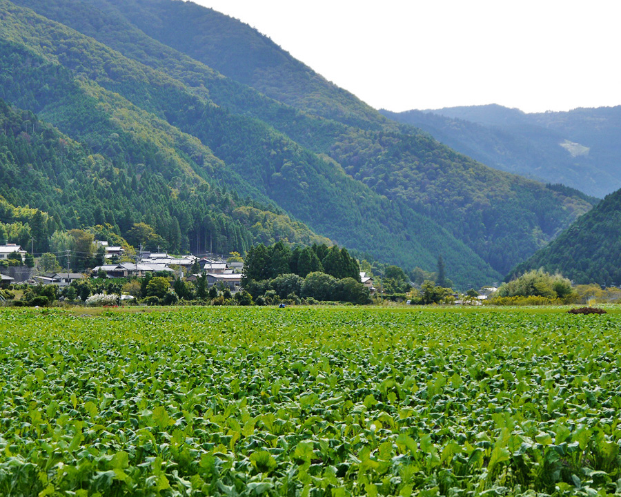 京都大原の風景