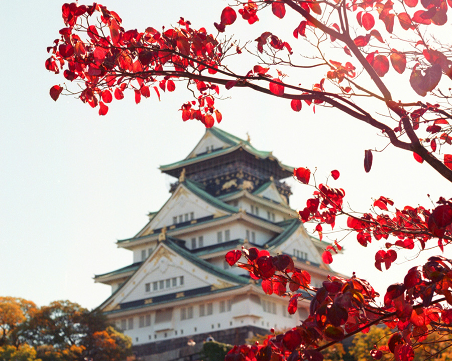 大阪城公園