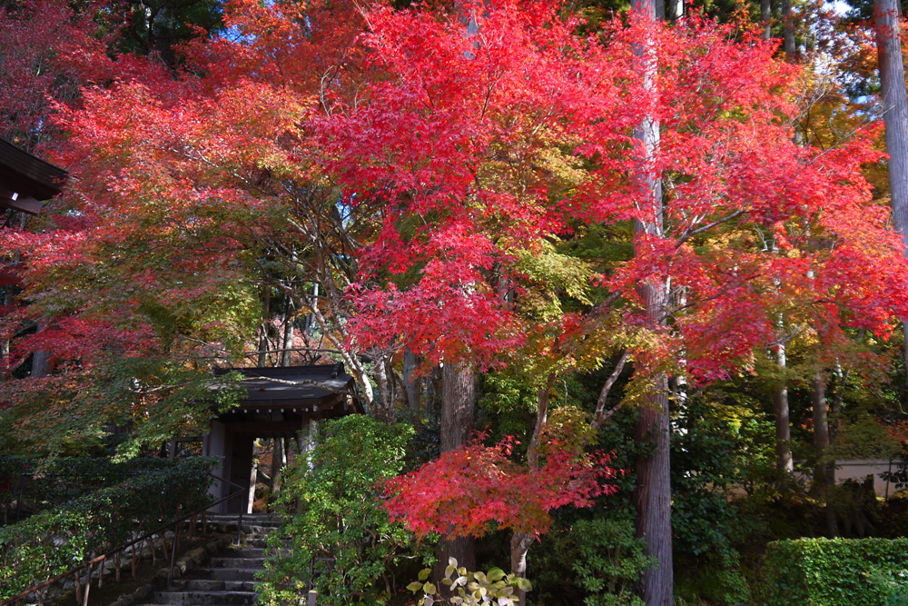 三千院