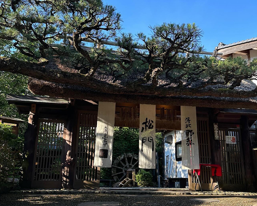 ランチ「 志野 松門」