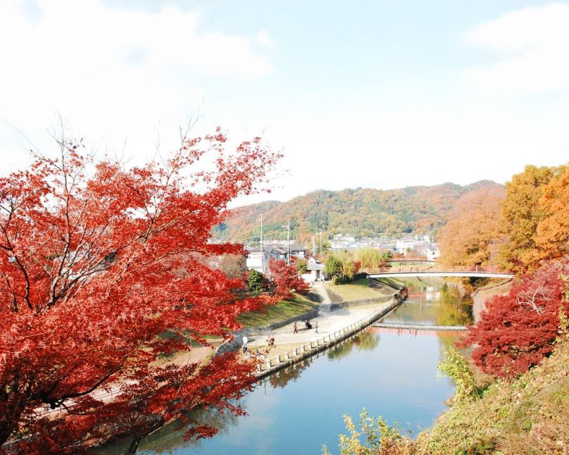 竜田公園（たつたこうえん）紅葉