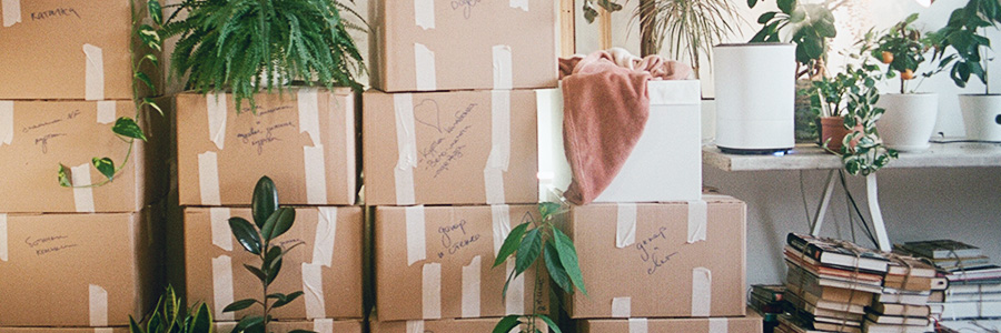 家でできるお金がかからない趣味「断捨離・ミニマリストな生活」