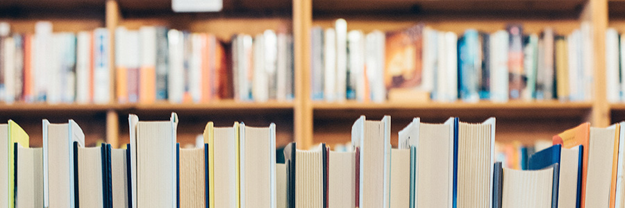 家でできるお金がかからない趣味「図書館で読書」