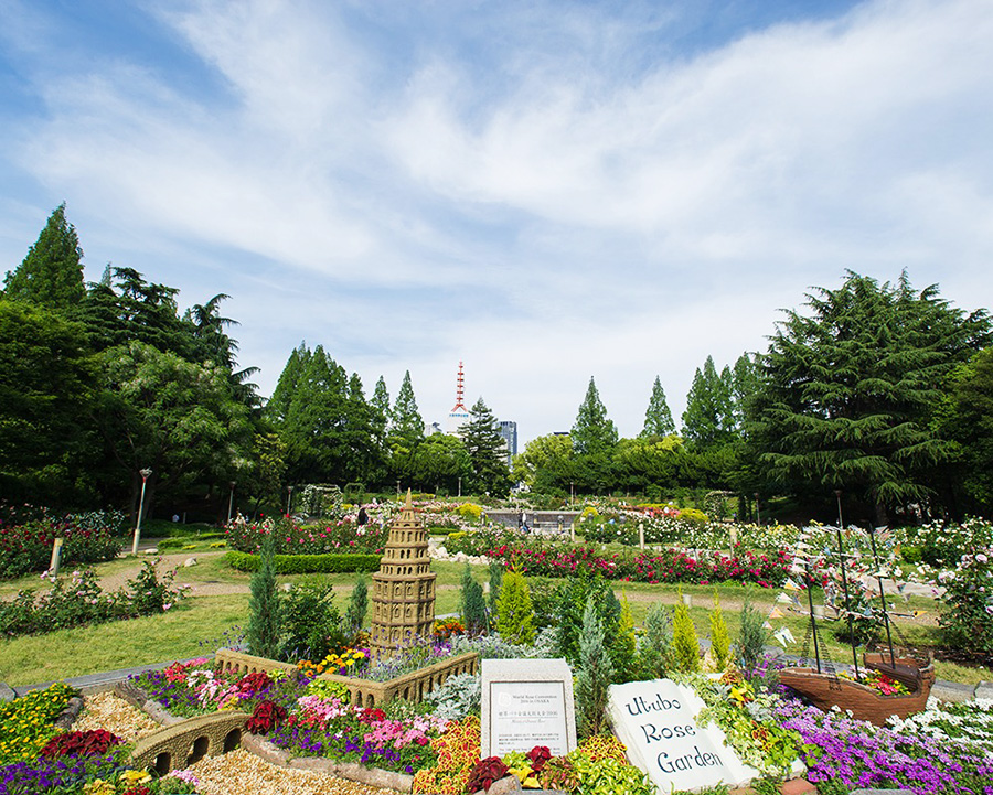 大阪で女性が一人ゆっくりするのにおすすめの場所「靱公園(うつぼこうえん)」