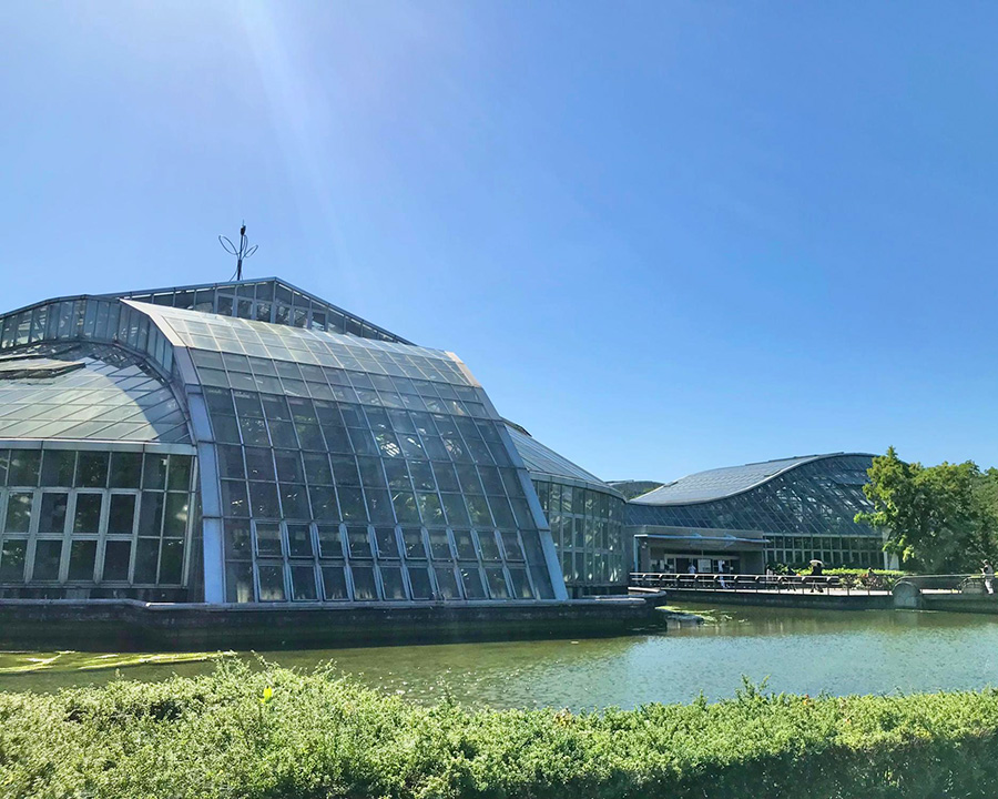 京都府立植物園 観覧温室