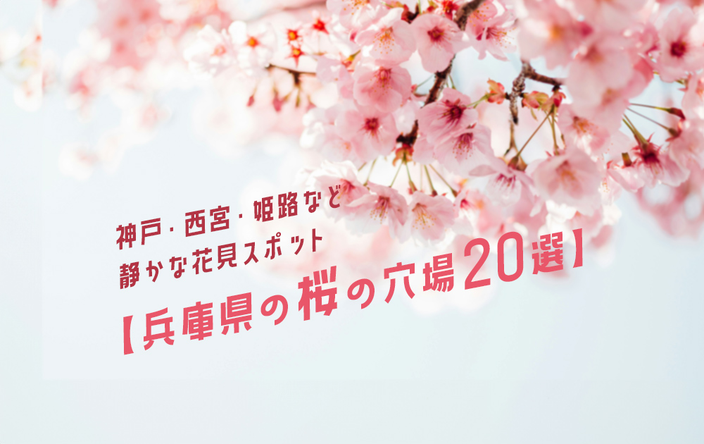 【2026】兵庫県の桜の穴場20選｜神戸・西宮・姫路など静かな花見スポット