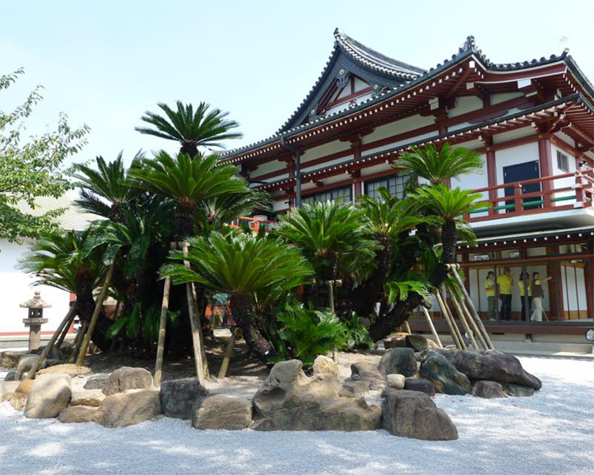 妙國寺