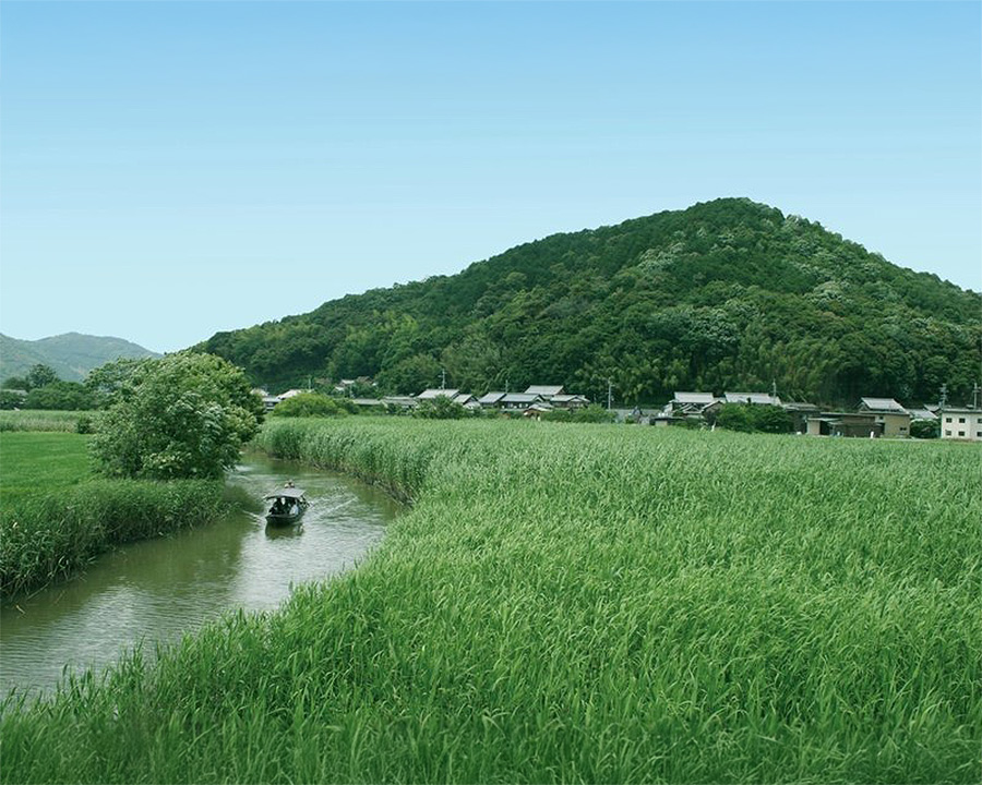 のんびり舟に揺られて近江八幡・水郷めぐり