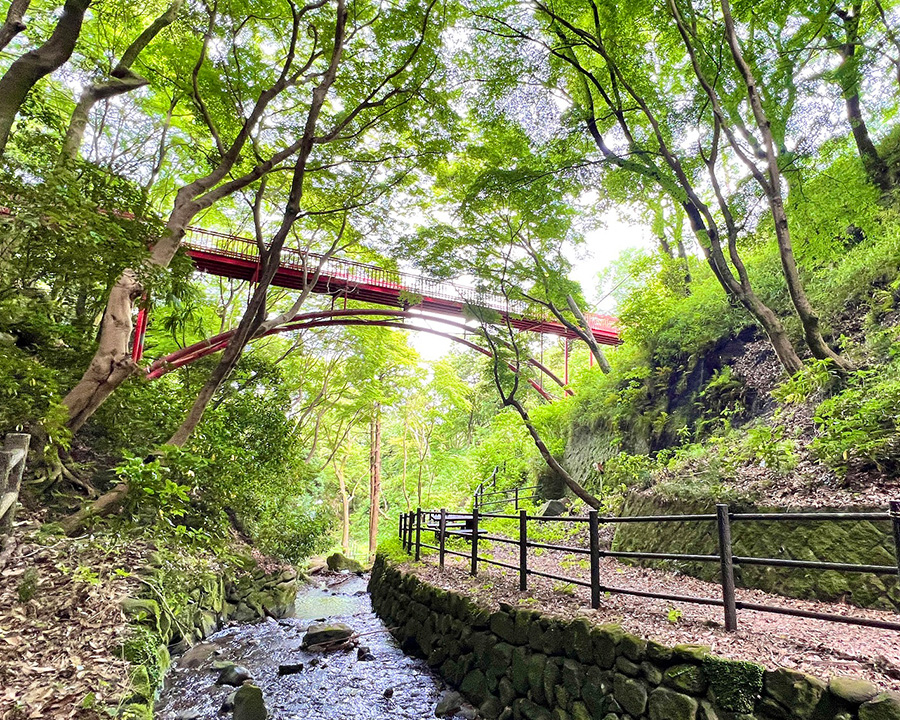 大阪の日帰り女子旅で、自然を感じられる穴場スポット「枚岡公園・暗渓（ひらおかこうえん：大阪）」