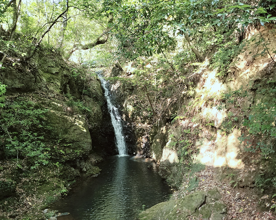 紫雲山 中山寺｜穴場の寺社と自然ハイキング旅