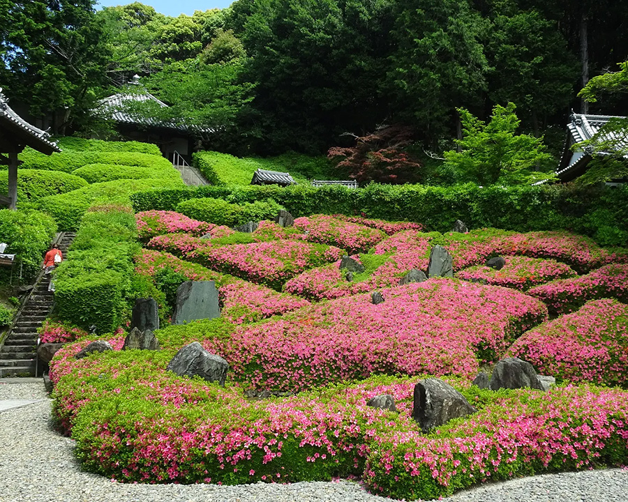 大阪の日帰り女子旅で行きたい穴場スポットは「林昌寺（りんしょうじ：大阪）」