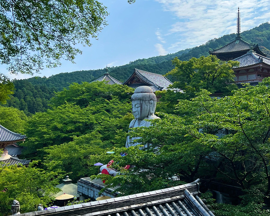 壺阪山 高取土佐｜城跡ハイキングと歴史さんぽ旅