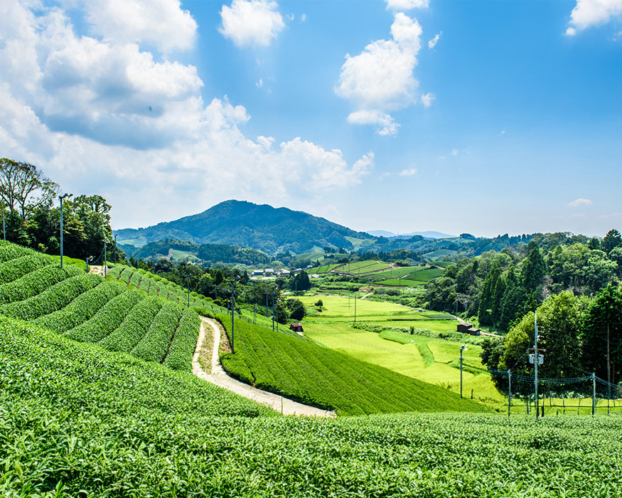 和束町（わずかちょう）