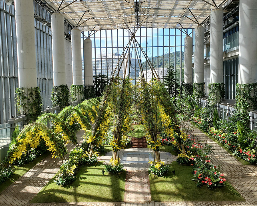 奇跡の星の植物館＆花散策
