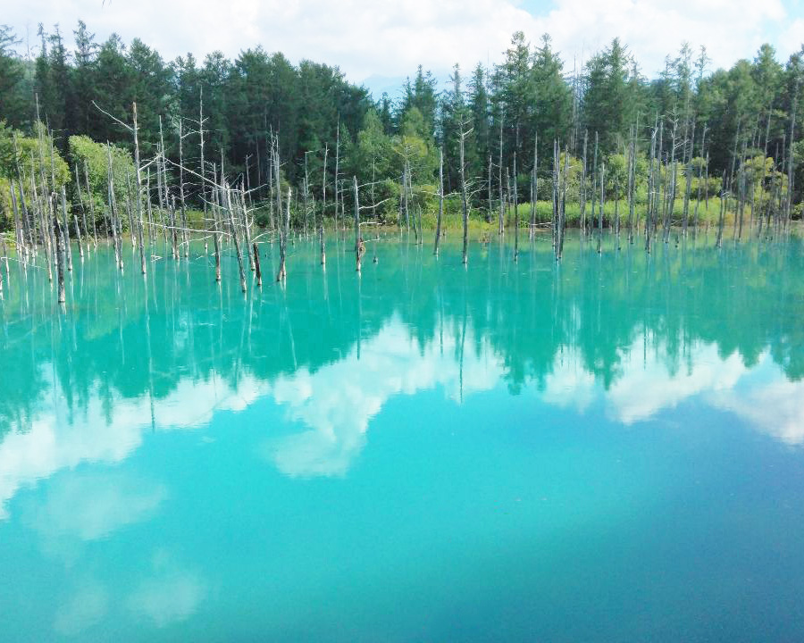 北海道葵池