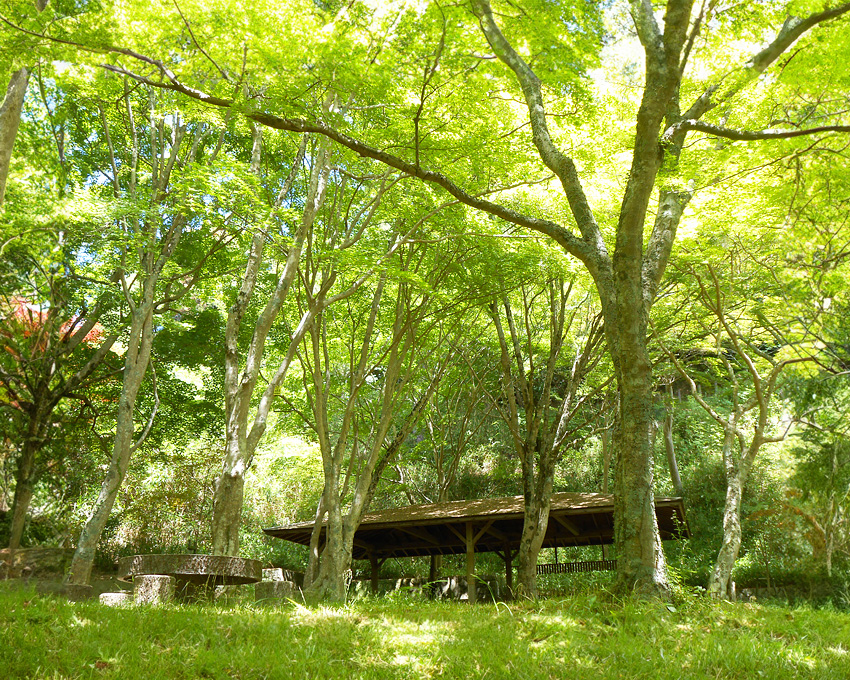 笠置山自然公園