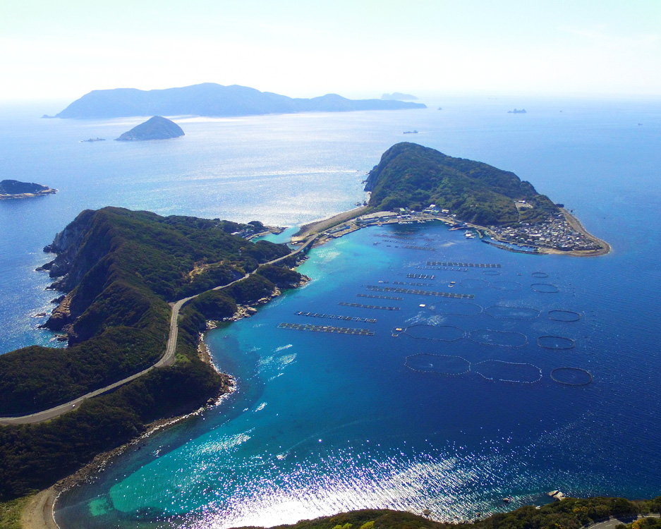 柏島