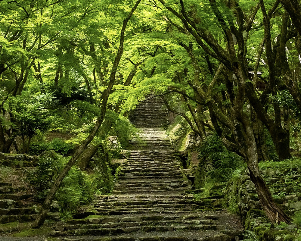鶏足寺