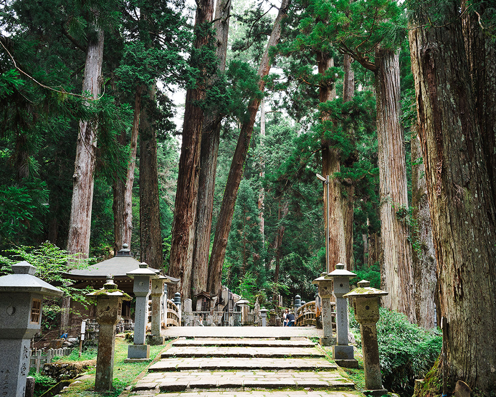 高野山 ・奥の院