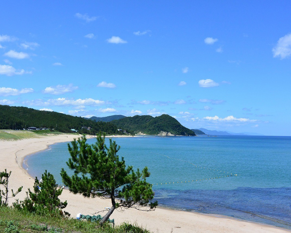 琴引浜