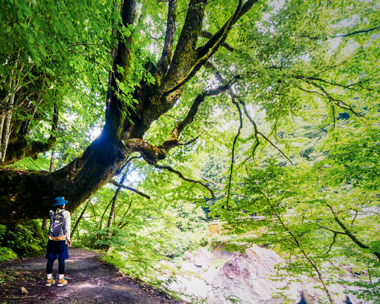 天川村
