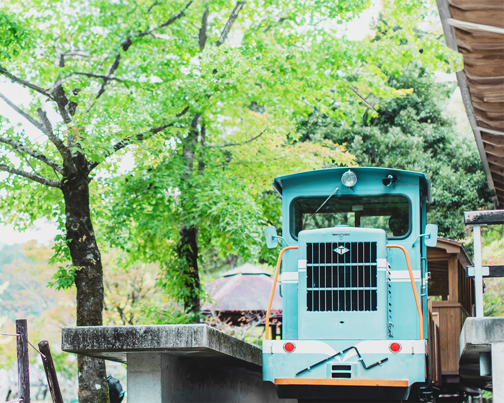 馬路村