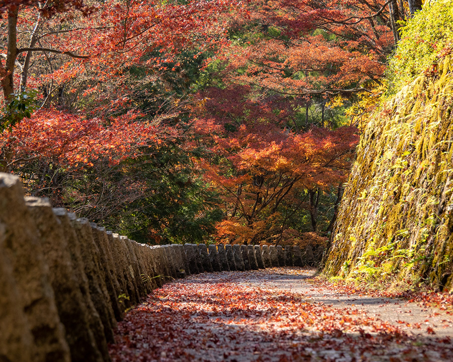 吉野山コース