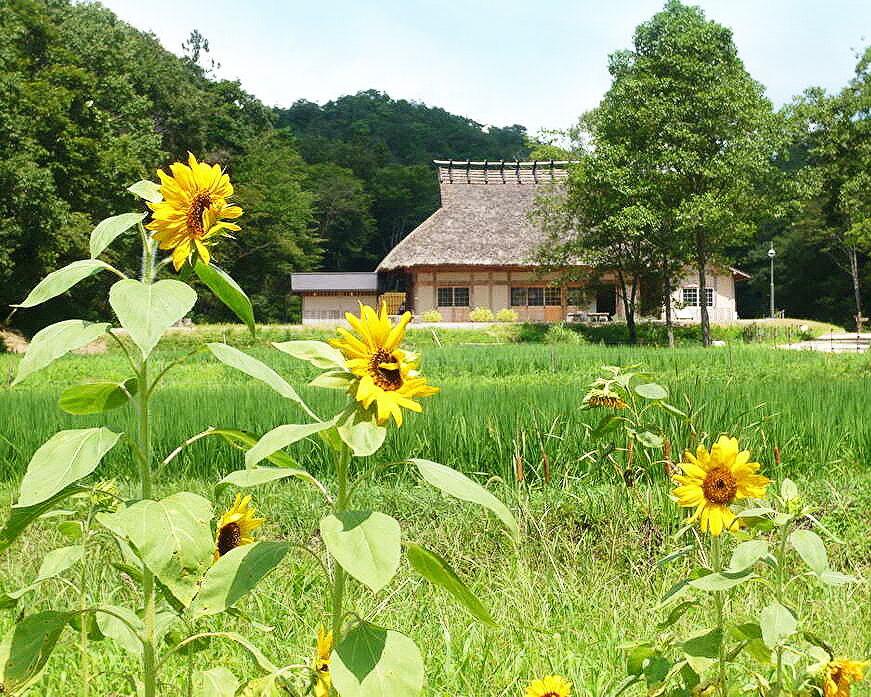 西谷の森公園(