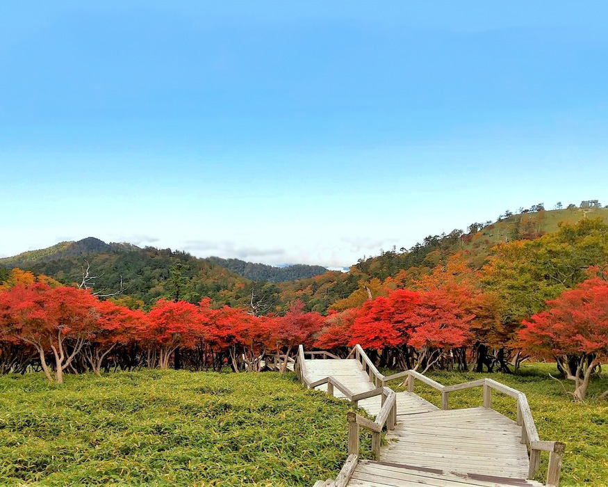 大台ケ原