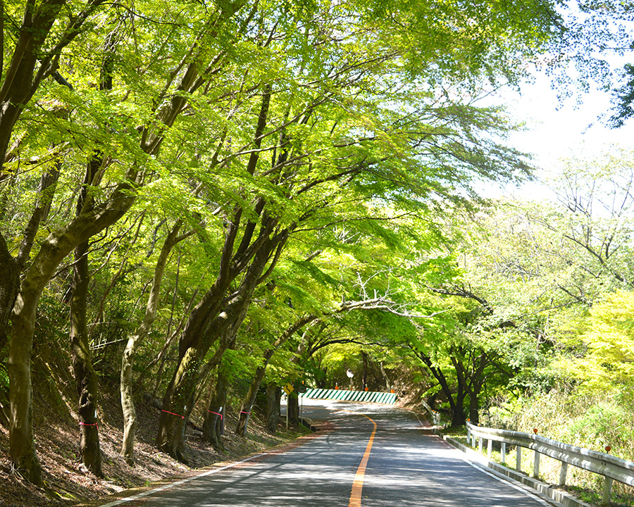 信貴生駒スカイライン(奈良〜大阪)