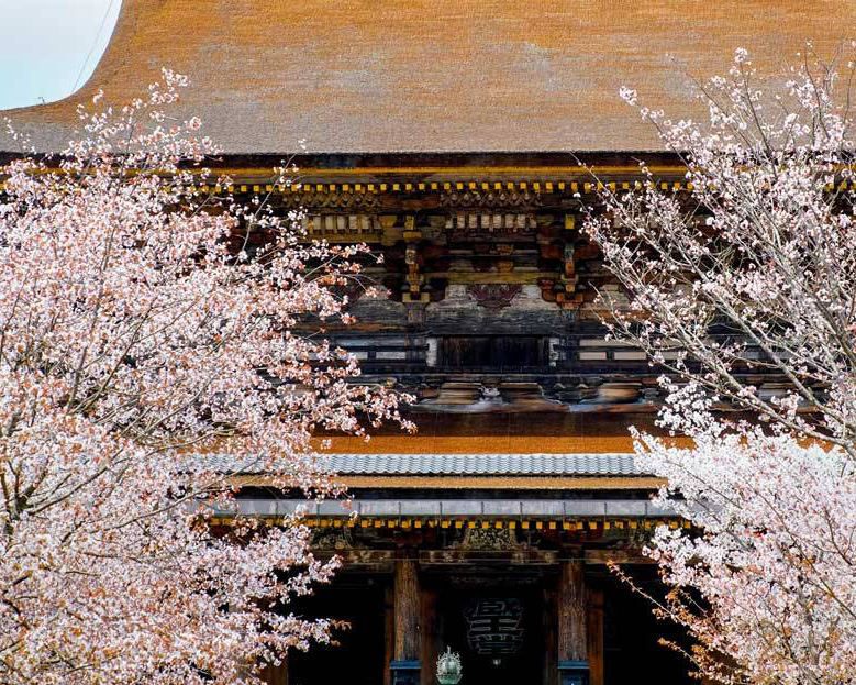 奈良吉野