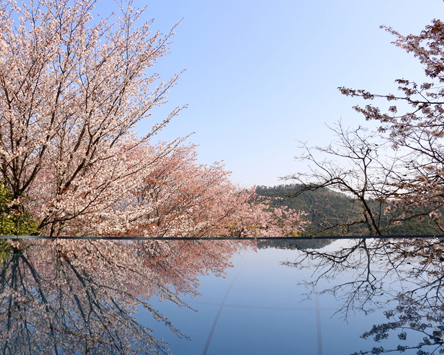 吉野の湯で絶景と温泉を