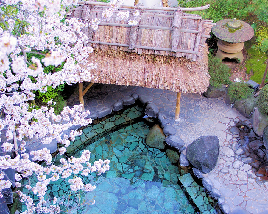 湯村温泉 朝野家