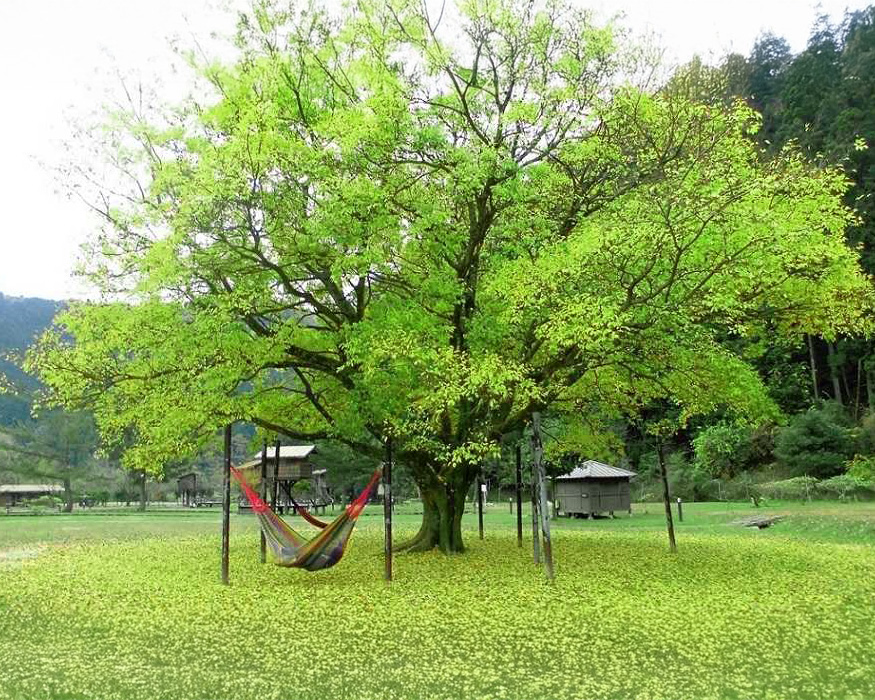南光自然観察村(兵庫県)