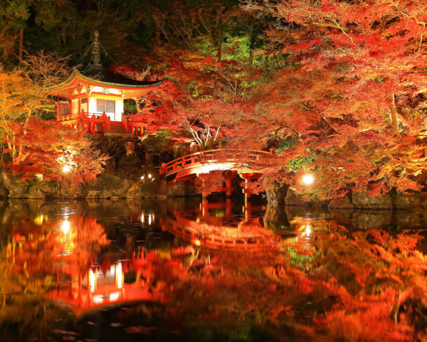 醍醐寺紅葉ライトアップ
